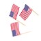 4th Of July Mini American Flag Toothpick Picks 144 Count Party Decorations